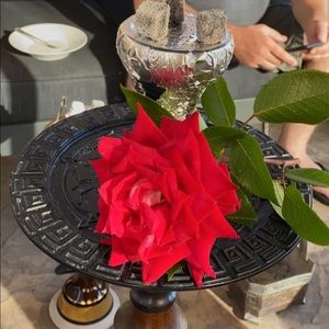 Meet your Posher, Shaza